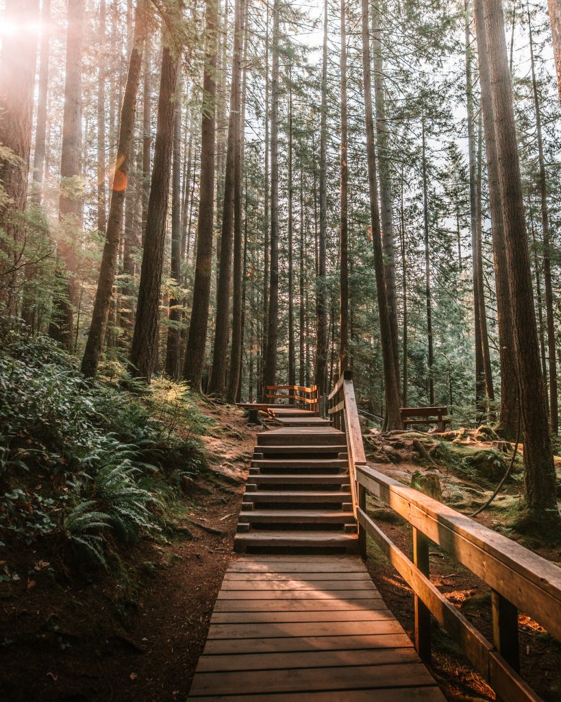 Lynn Headwaters Regional Park