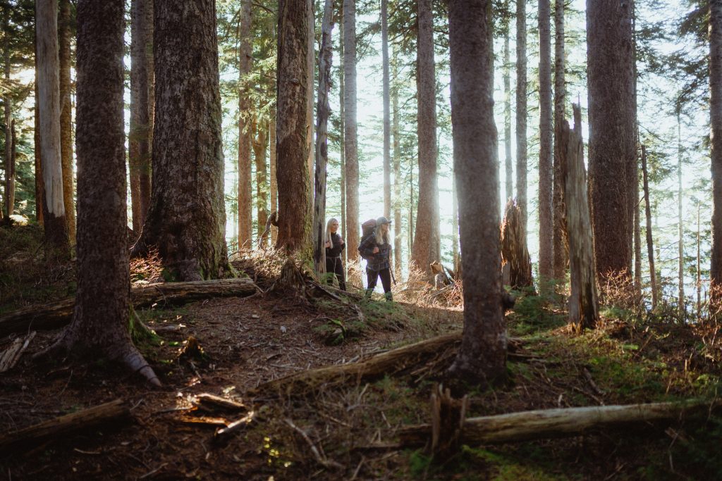 women hiking in forest