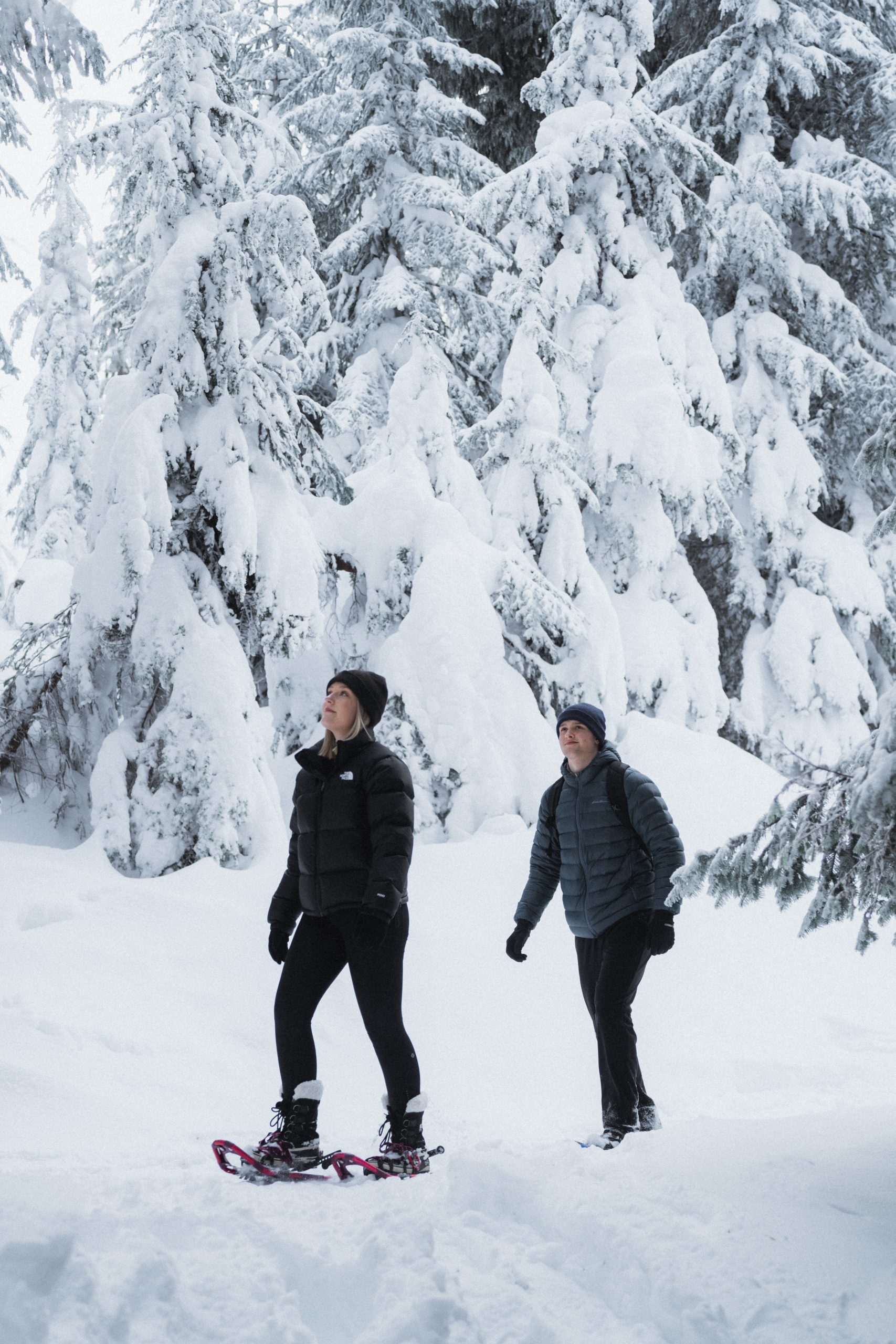 Snowshoeing on Grouse Mountain