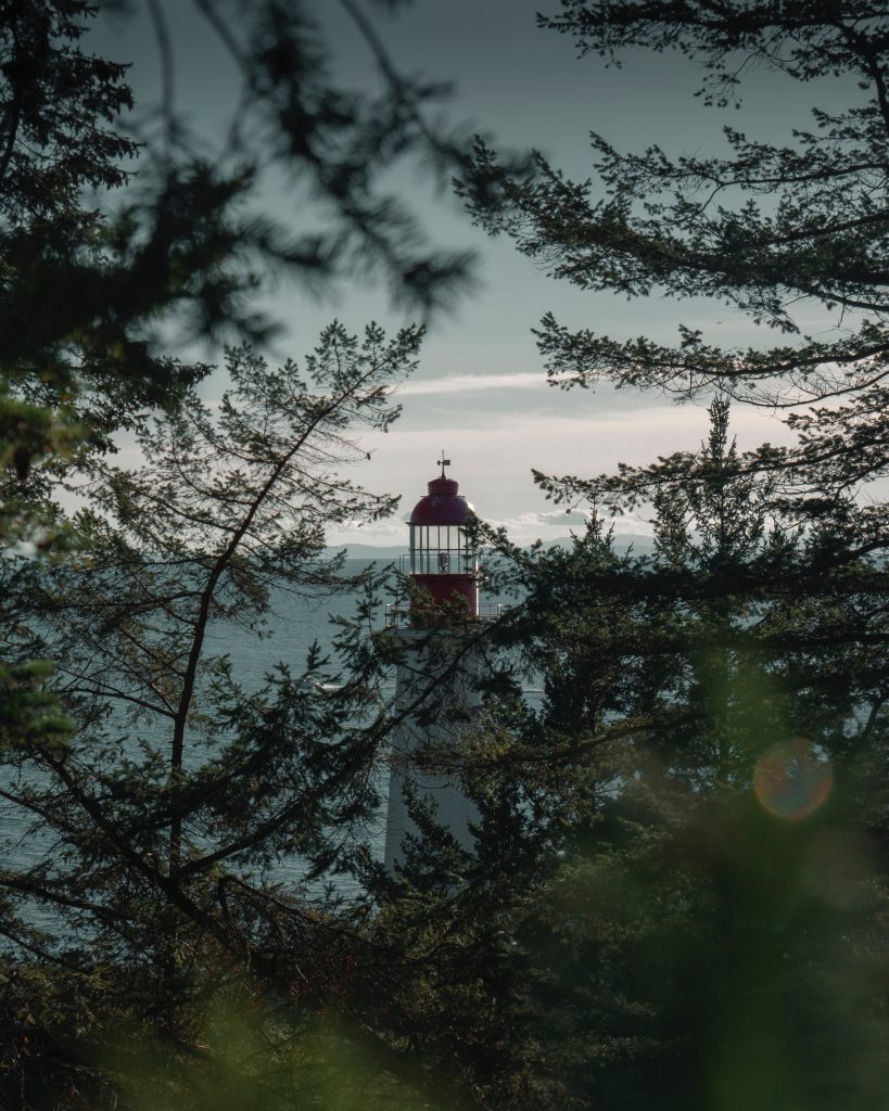 Lighthouse hidden by trees