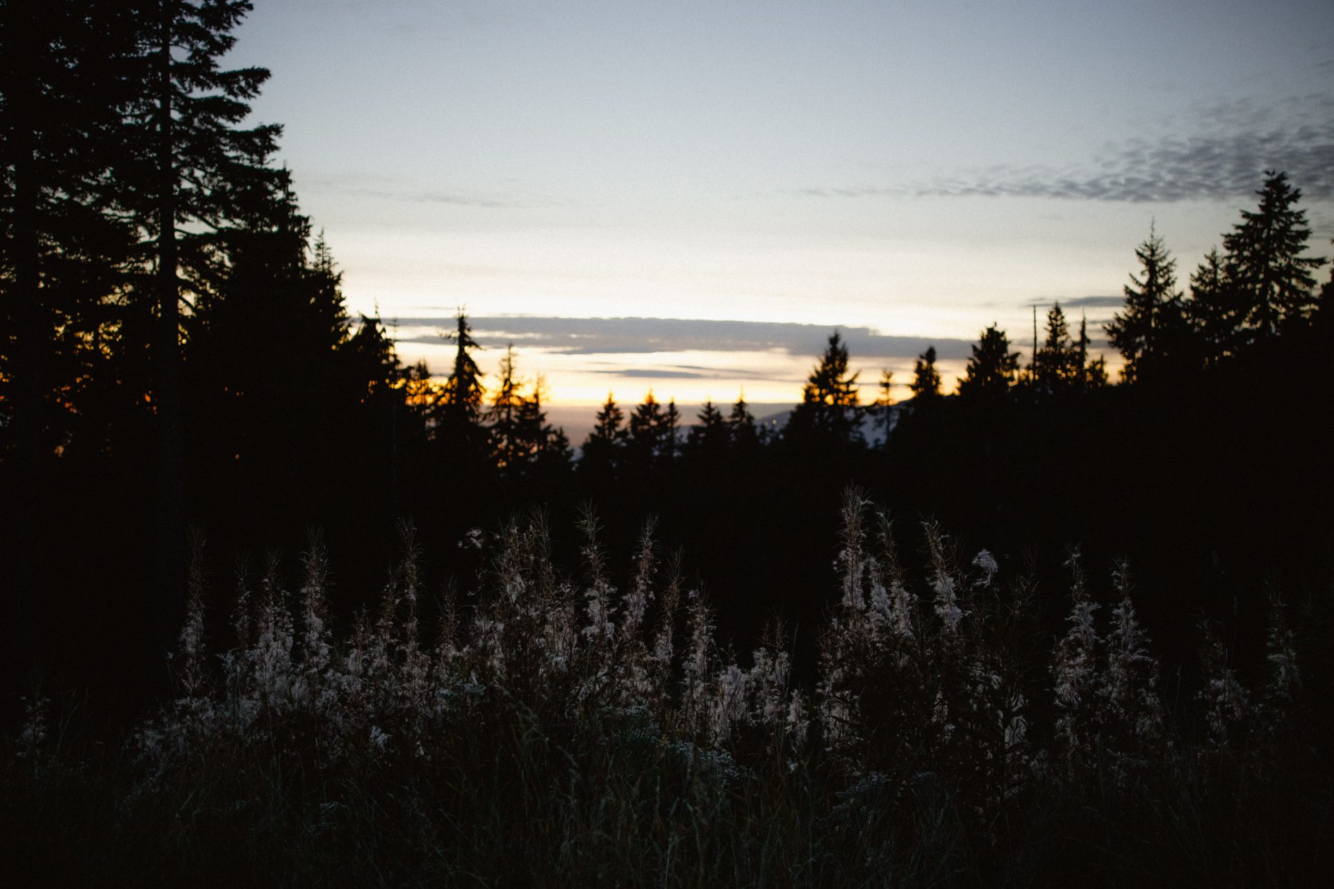 Mt Seymour