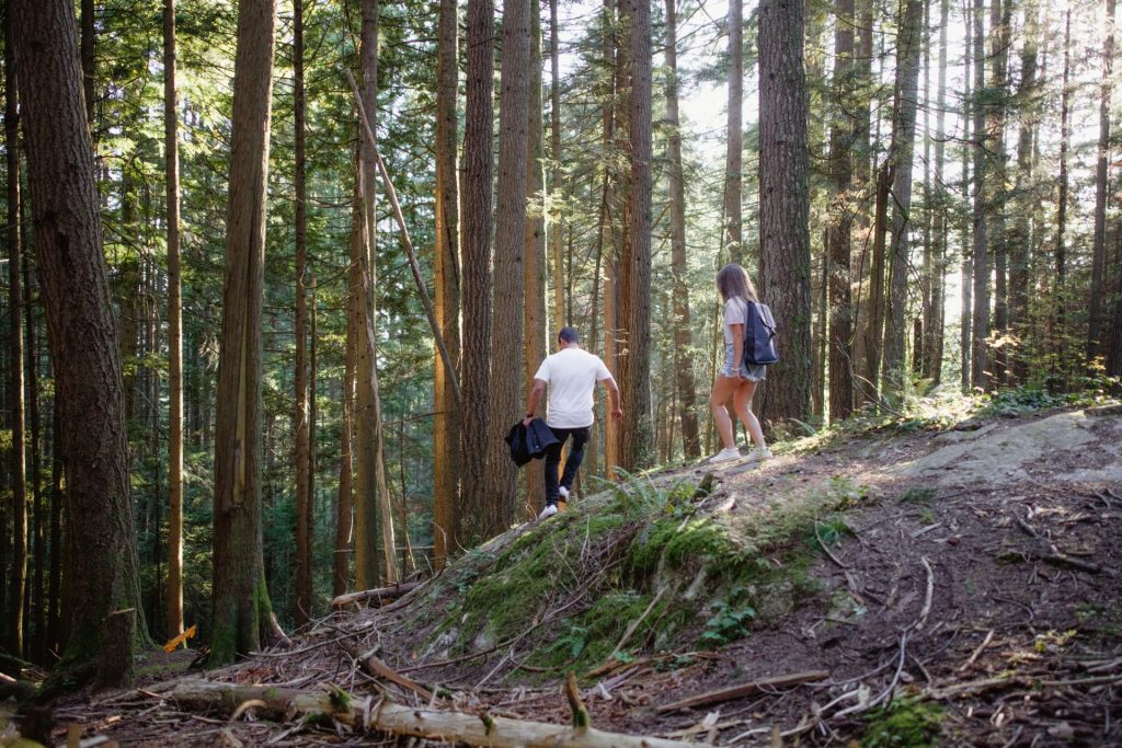 Hiking Mystery Lake